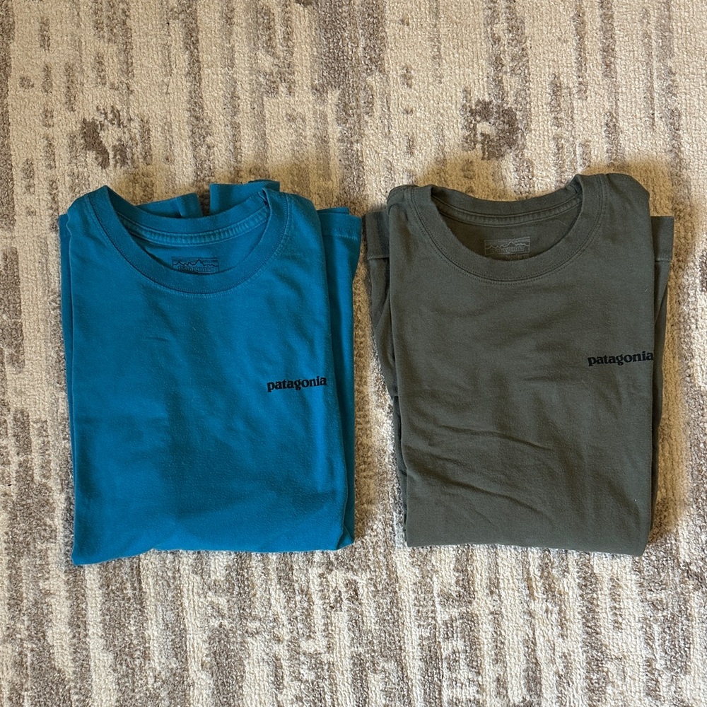 Patagonia Fitz Roy Tees